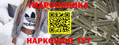 крисы Нальчик