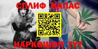 крисы Нальчик